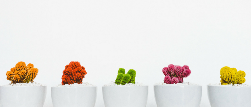 See the Top Interior Design Colour Trends for 2018 You Need To Follow_feat