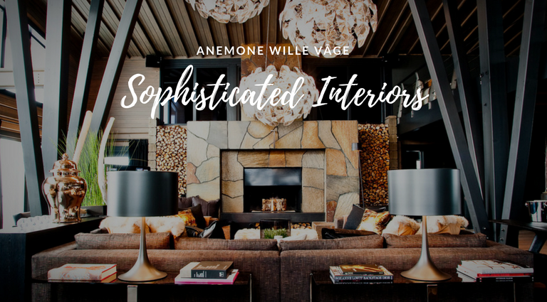 Anemone- The Path to Sophisticated Interior Design Projects_feat