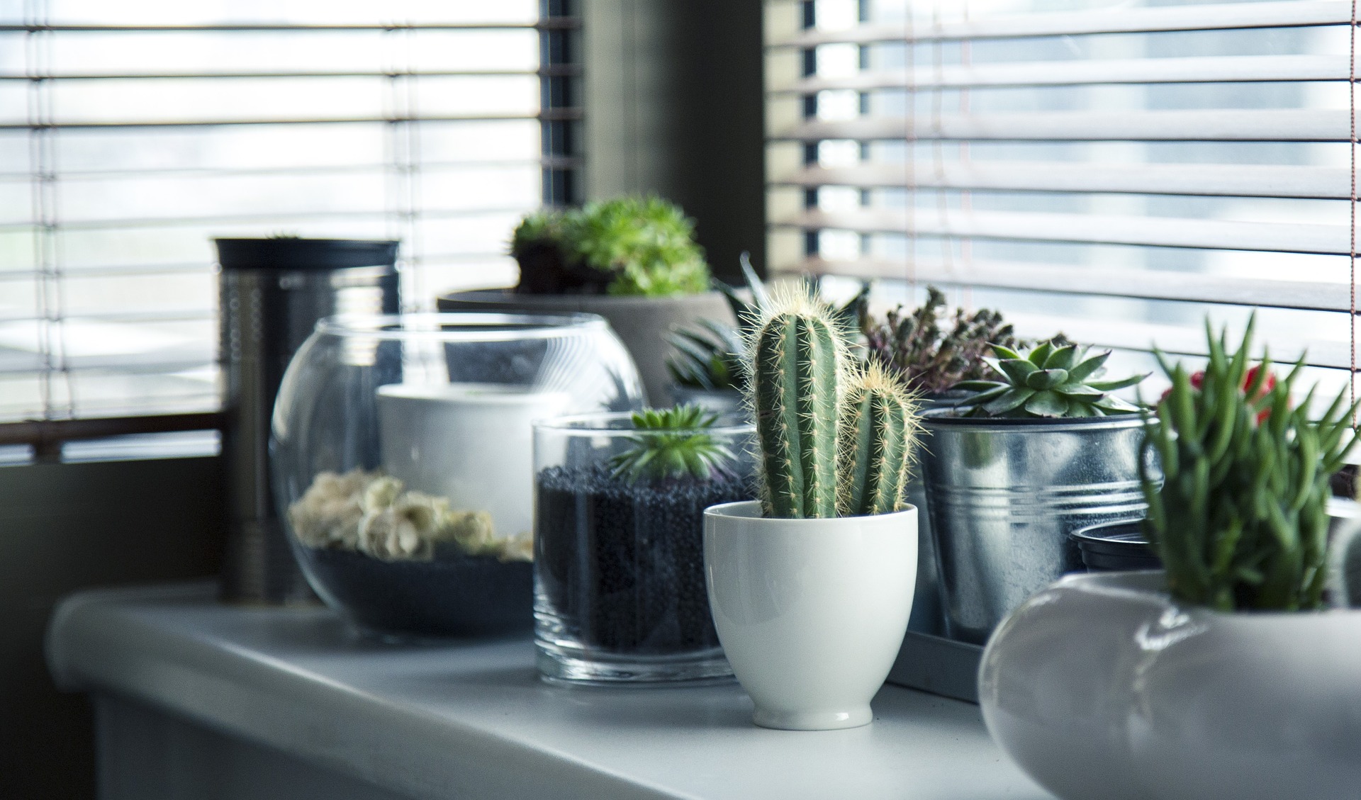 What You Didn't Know about Mid-Century Modern Home Decor_3