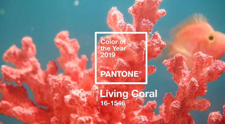 Announcing The Amazing Pantone Color Of The Year 2019!