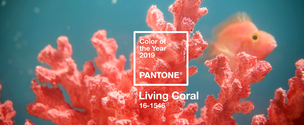 Announcing The Amazing Pantone Color Of The Year 2019!