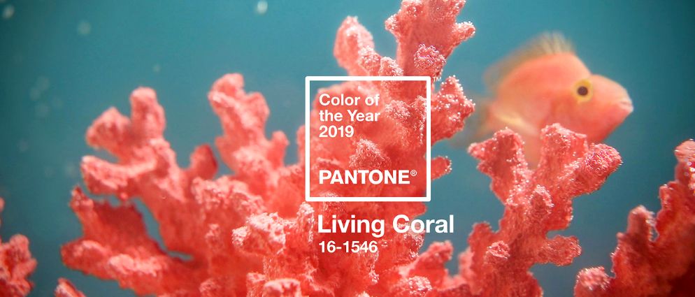 Announcing The Amazing Pantone Color Of The Year 2019!