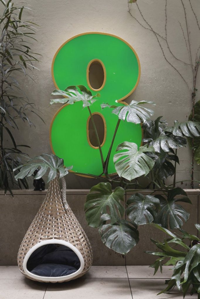 RECDI8 Studio Exploring The Charming Limits Of Interior Design_3 (1)