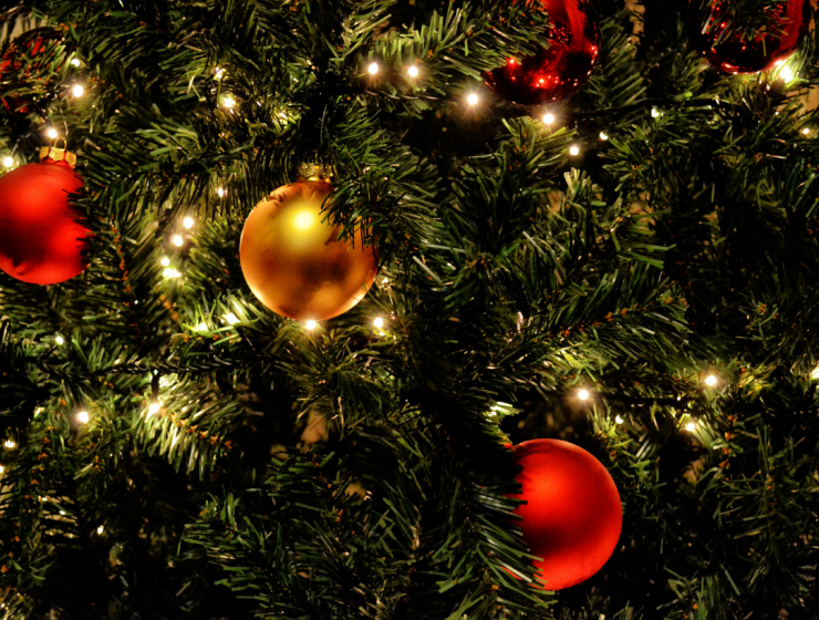 Christmas Decor Inspiration Inspirations Essential Home Christmas Decor Inspiration